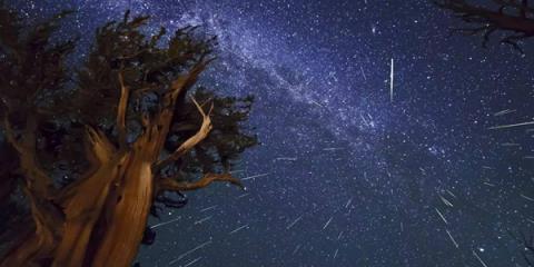 8月12日英仙座流星雨全程直播app