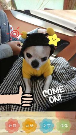 Funny 手绘贴纸软件