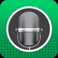 变声专家钻石版