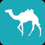 中国平安至尊结婚险app