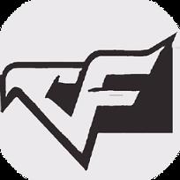 徐教授cf美化包