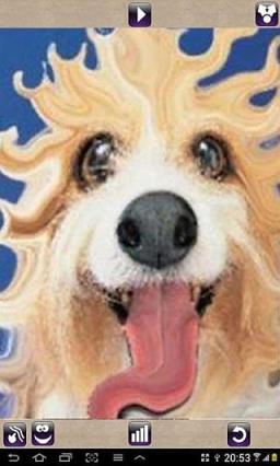 相片搞怪软件(Photo Deformer)手机