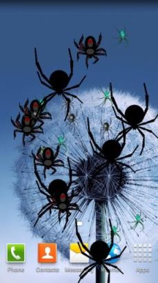 蜘蛛屏幕恶搞手机版