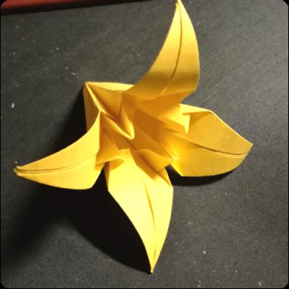 折纸大全图解app