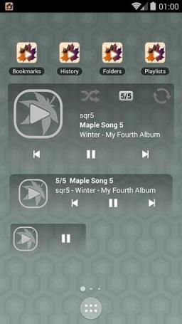 枫叶播放器官方手机版