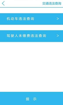 掌上路路通天津交违章app