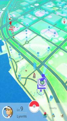 精灵宝可梦go快速孵蛋器下载