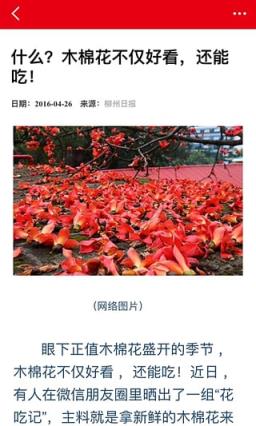 柳州日报App下载