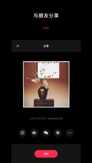 VUE视频美化工具手机