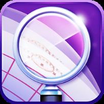 北京国税发票查询app