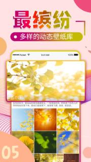 动态手机壁纸