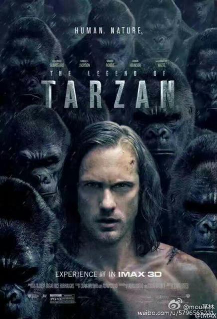 泰山归来险战丛林电影剧照