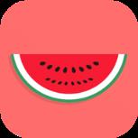 西瓜籽app