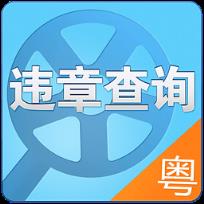 广东交通违章查询app