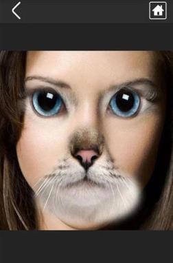 恶搞变脸大咖软件