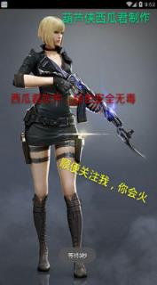 葫芦侠西瓜君cf终极幻影美化包