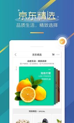 手机京东5.6.0谷歌正式版