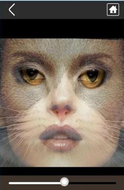 恶搞变脸大咖软件