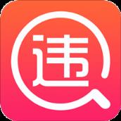 车一百违章助手