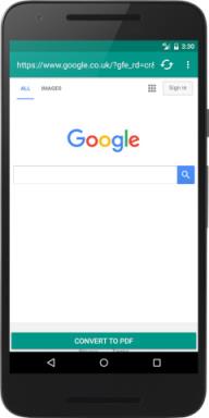 简易网页转PDF软件