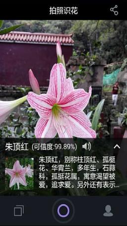 拍照识花app