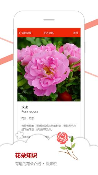 微软识花安卓版