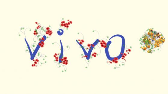 禅境zen安卓下载