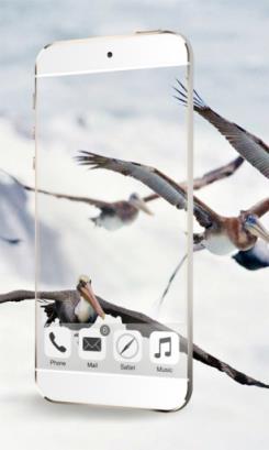 透明相机壁纸软件