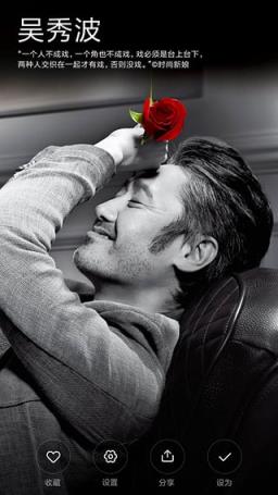 小米MIX轻奢版主题包