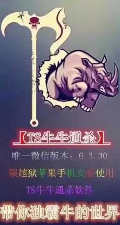 微信TS牛牛通杀红包挂下载