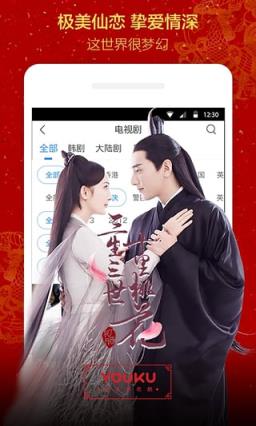 全网vip免广告播放器