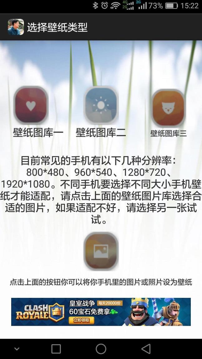 小草青青手机壁纸