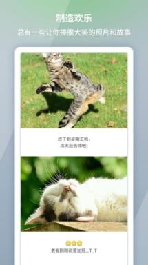 长图:LONPIC 官方