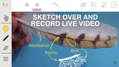 视频涂鸦app安卓