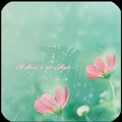 有声小说听书器