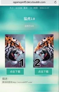 猛虎牛牛红包挂2021最新版

