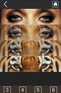 恶搞变脸大咖软件