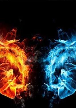 火萤视频桌面app官方最新版