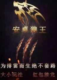 安卓狼王6.0免授权码注册机版