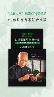 莲叶翡翠

