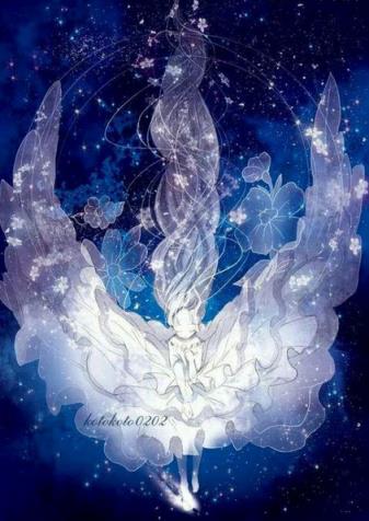 火莹视频桌面手机版