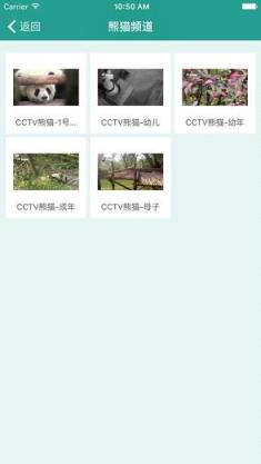 小熊TV直播app
