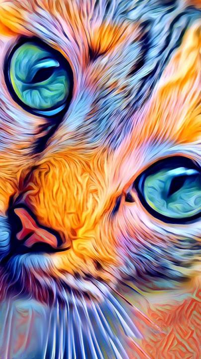 Painnt手机特效相机下载