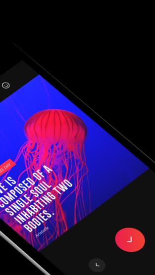 VUE全部滤镜完整版下载