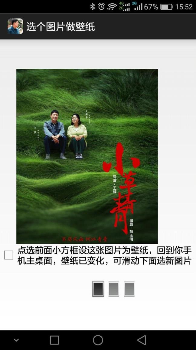 小草青青手机壁纸