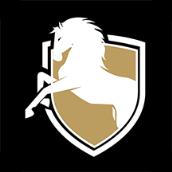 二马门窗平台App