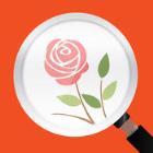 微软识花安卓版