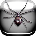 蜘蛛侠红包挂免授权注册机版