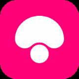 蘑菇街微信小程序