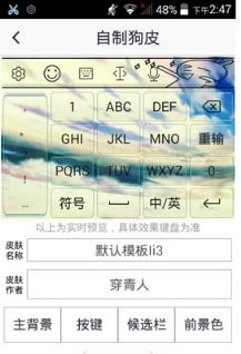 输入法皮肤控安装
